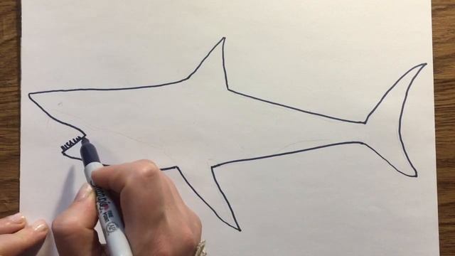 Как нарисовать акулу. How to draw a shark смотреть онлайн