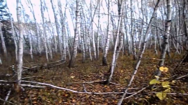 САМВЕЛ НАЗВАЛ ЛЕСЮ ЖЛП . ЛЁШУ ПРИГЛАСИЛ ПОКЛОННИК В ГОСТИНИЦУ смотреть онлайн