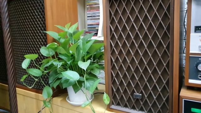 (Đã bán) Đầu băng cối Teac A-7010 - tuanle 0859939443 смотреть онлайн