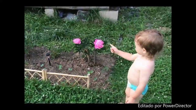 Жизнь маленького Святика (2г. 3мес) на испанском смотреть онлайн