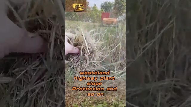 gasoline engine sharp mowing blades remote control distance 200m remote operated weed trimmer смотреть онлайн