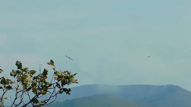ОСЕННЯЯ КАМПАНИЯ 2020. 03.10.2020 - Часть 1. Красные скалы смотреть онлайн