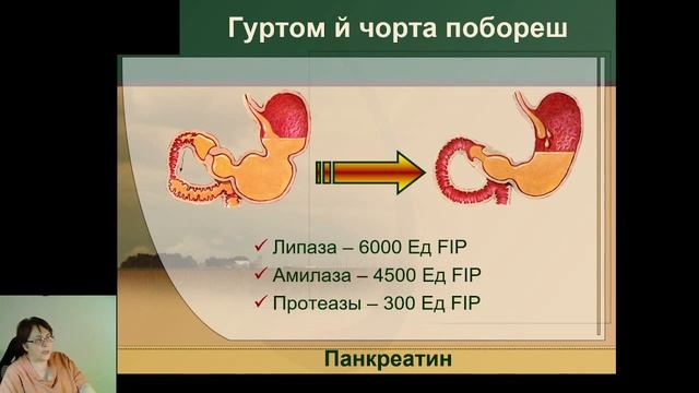 Фестал: место в клинической практике смотреть онлайн