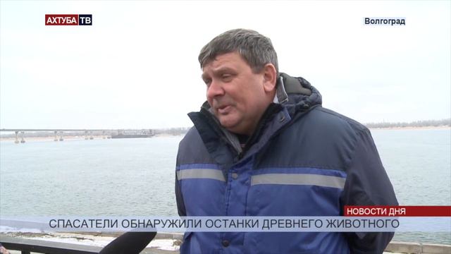 Спасатели нашли на дне Волги останки древнего животного смотреть онлайн