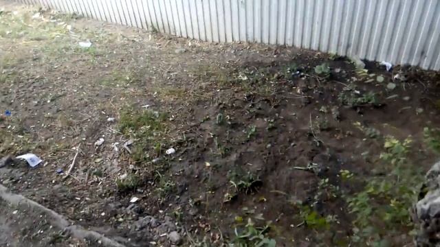 Пятёрочка на Гастрономе.Порсле замечания убрались.