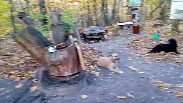 ГОСТ 2041 20231031 смотреть онлайн