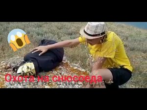 Охота на снюсоедов?_#3