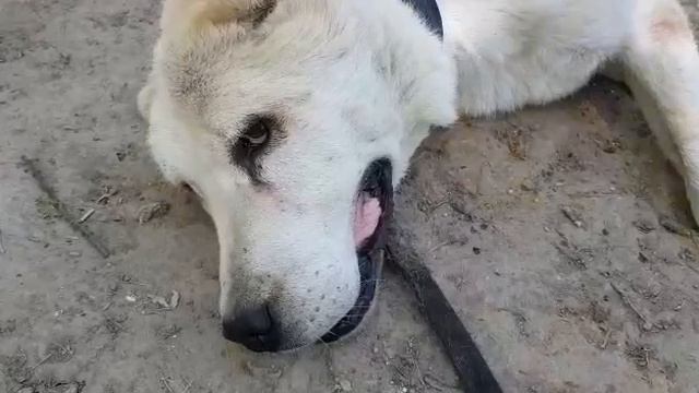 А вот так! смотреть онлайн