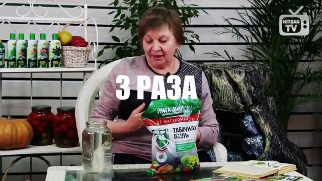 Борьба с вредителями на сливе Хитсад-Медиа