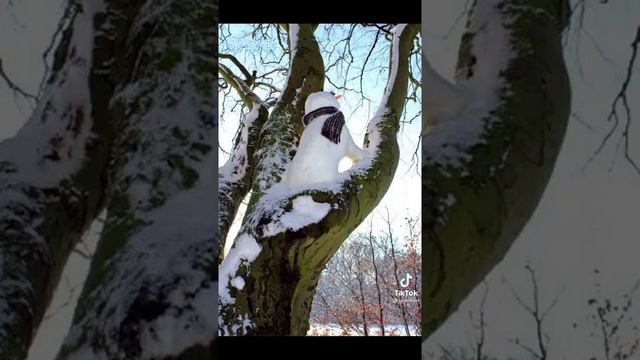 снигавики лютой зимой смотреть онлайн