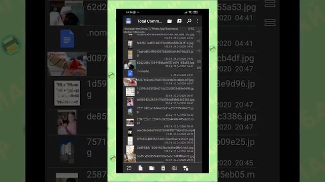 Как сохранить видео статус с ватсапа смотреть онлайн
