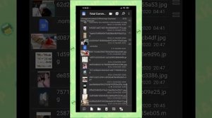 Как сохранить видео статус с ватсапа