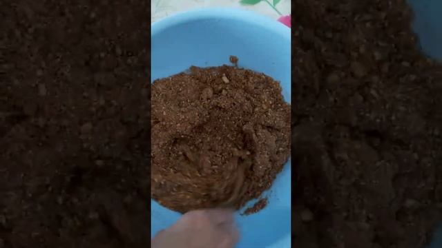 5 минутта дайын болатын Пирожное КАРТОШКА. Казакша рецепт. Pie POTATOES. смотреть онлайн