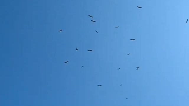 Наш край смотреть онлайн