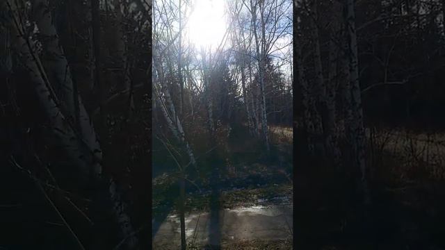 Эрик чилит на природе смотреть онлайн