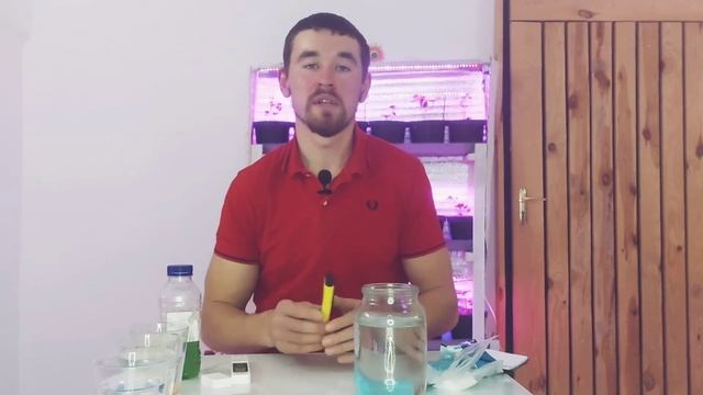 Для БОЛЬШОГО урожая разгони кусты этим удобрением смотреть онлайн