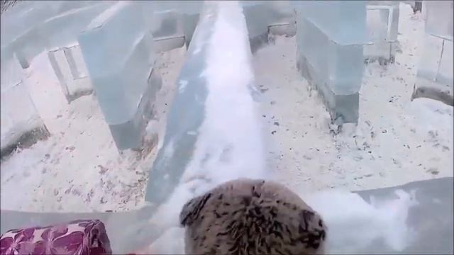 Басик в ледовом городке. Приключения кота Басика. смотреть онлайн