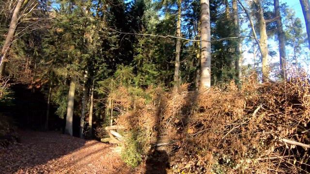 Прогулка по маршруту : Тропа открытия природы. Домик барсука. Камень, который предсказывает погоду. смотреть онлайн