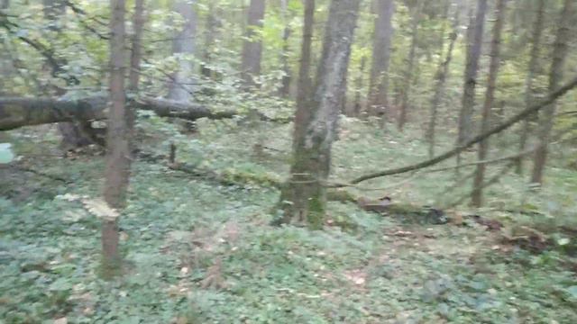 БИЯ - УШЛА - вПОИСК🐿️ смотреть онлайн
