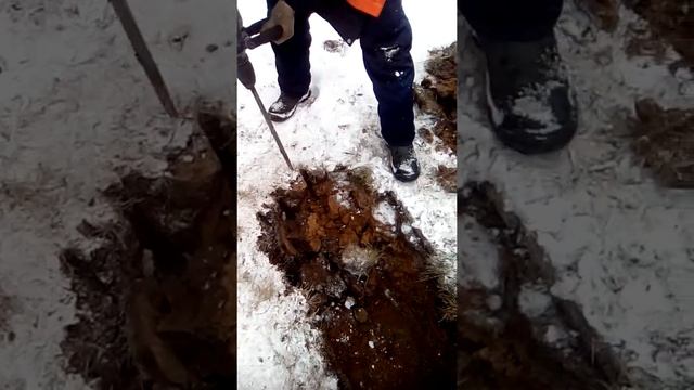 Для чего нужен перфоратор в России смотреть онлайн