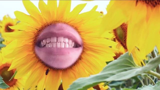 АГРОНАПРИМЕР смотреть онлайн