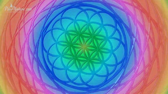 ★★★ MUSIC FOR MEDITATION OR SLEEP ★★★ FLOWER OF LIFE + SUBLIMINAL +THETA WAVE Pilar Nature смотреть онлайн