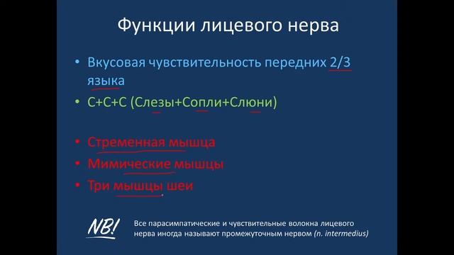 Черепные нервы VII-XII пары. Вкусовой анализатор. 19.05.22 - 14:15 смотреть онлайн