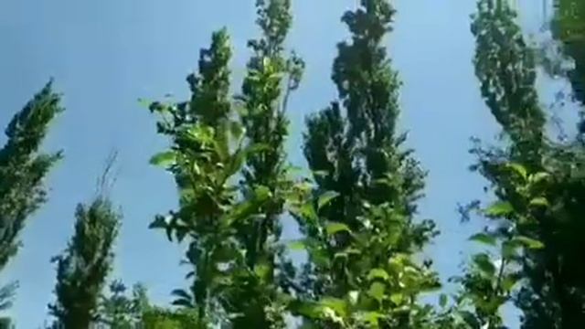 25 октября 2019 г. смотреть онлайн