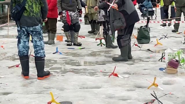 25.03.23 КРХ Белая Дача ,запуск только крупной форели ,навеска от 1.5 кг.,до 3 кг.!Ждём в гости! смотреть онлайн