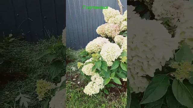 summer love смотреть онлайн