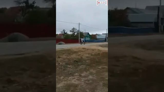 regulmoto PILOT and Ly 50-2 смотреть онлайн