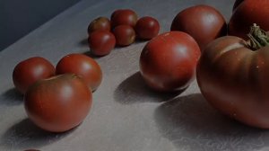 Томат ПЕРВЫЙ ПОМОЩНИК 2020г