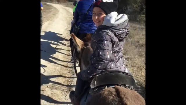 Ферма «Чудо Ослик» смотреть онлайн