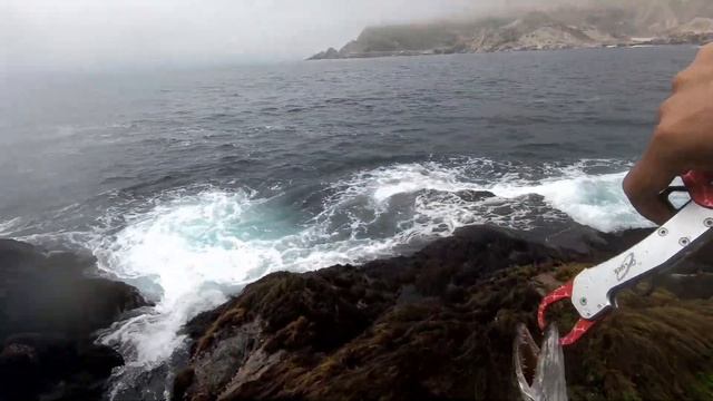 Shimano Stradic 4000 catches BIG Trevally смотреть онлайн