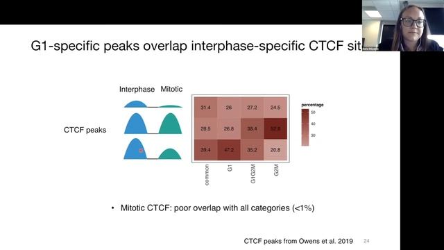 Daria Shlyueva: "Integrated approach to study cell cycle-dependent chromatin dynamics" смотреть онлайн