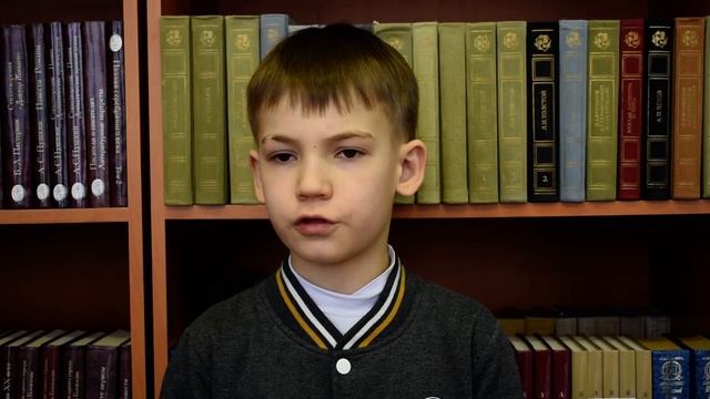 Нафиков Даниил, 9 лет, К Ушинский «Гусь и журавль».mp4 смотреть онлайн