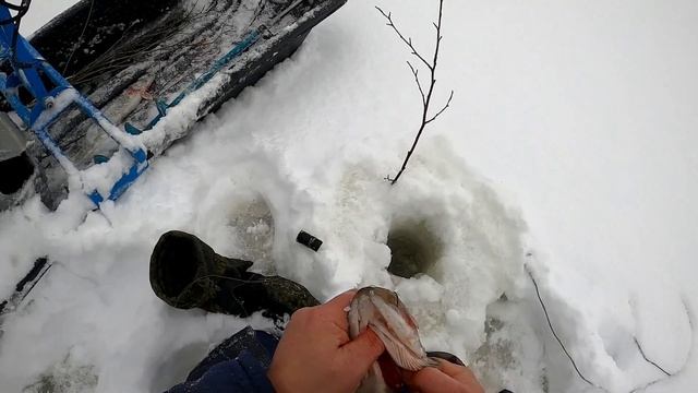 Селигер ловим щук №2 смотреть онлайн