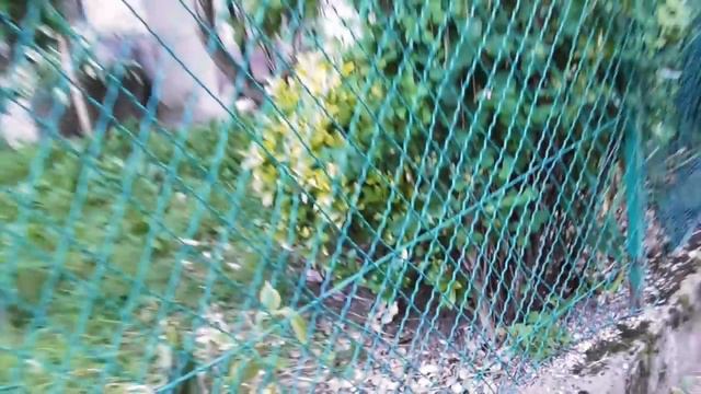 ФРАНЦИЯ! ВЛОГ! Отпуск! ITALIE! POSINA! ITALIE VLOG 3!В ГОСТЯХ! смотреть онлайн