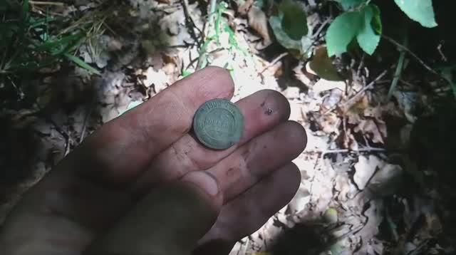 Коп 2020. Монеты и значки. ACE250 (MD6250)