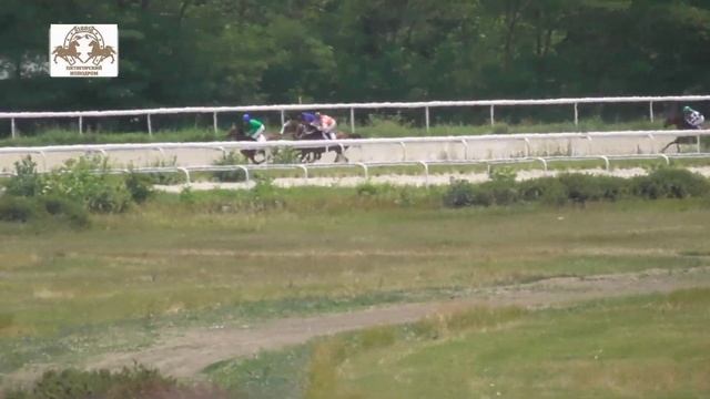 19.07.2020 - 2 Скачка на кобылах 2-х лет чистокровной верховой породы - Мастерия смотреть онлайн