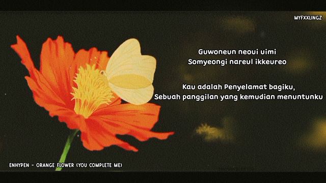 ENHYPEN – Orange Flower (You Complete Me) Lirik Terjemahan Indonesia смотреть онлайн