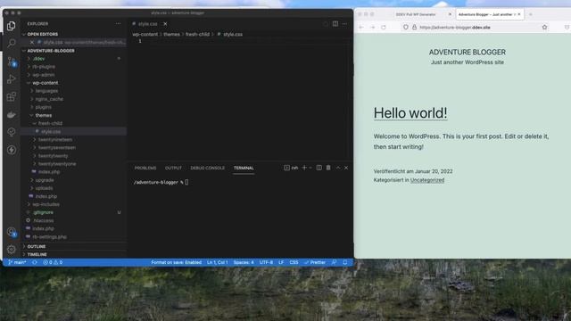 Pull a WordPress site into a local DDEV project (2022 edition) - Raidboxes example смотреть онлайн
