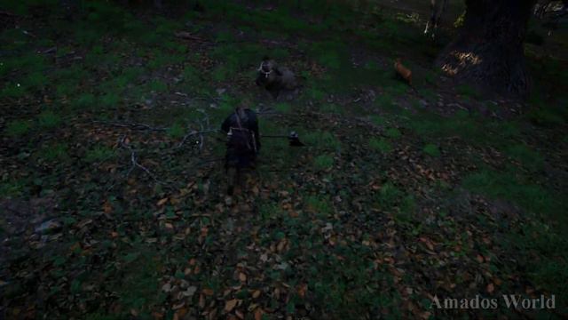 Assassin's Creed Valhalla - Boar Hunting in the English Forests Gameplay смотреть онлайн