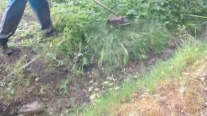 Сергей косит траву триммером ЖЕСТКО 30 соток. Закос травы СПб и Ленобласть, тел. 89111418147.