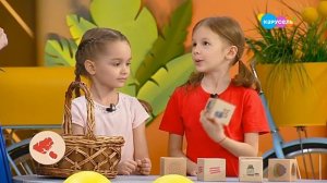 Амелия Колпакова в гостях «Лапы, морды и хвосты» о собаке Ньюфаундленд - Карусель, 09.06.2020