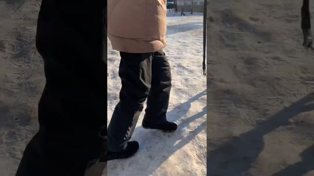 Тайский риджбек щенок. Продаётся ! 3 месяца . Шикарная родословная смотреть онлайн