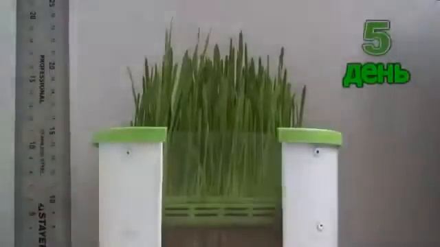 Гидропонный проращиватель «Здоровья Клад» смотреть онлайн