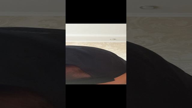 Умные люди преступниками не становяться смотреть онлайн