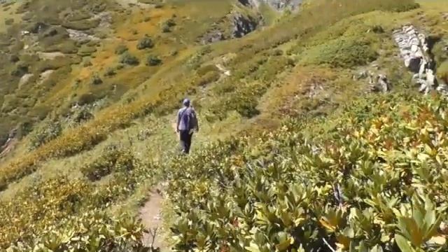 Трекинг в Красной Поляне: маршрут по хребту Аибга смотреть онлайн