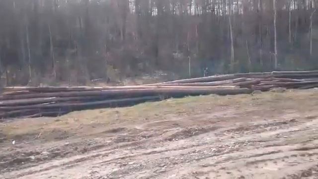 Спасение Зайцев в Якутии смотреть онлайн